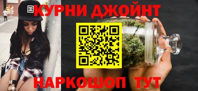 сатива Краснознаменск