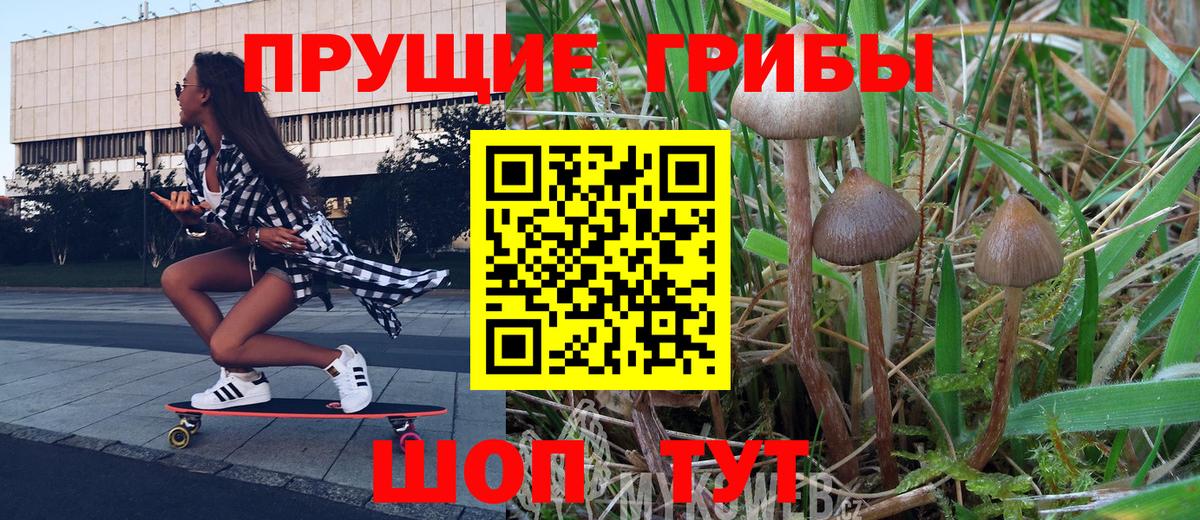 Выборг  Галлюциногенные грибы GOLDEN TEACHER  Псилоцибиновые грибы Magic Shrooms  Вход с VPN 